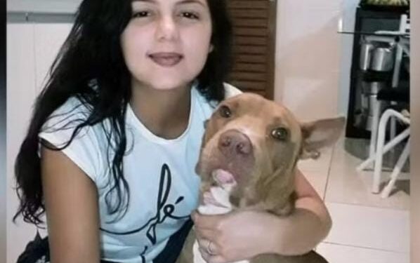 Ele mordeu na jugular”: dona de pitbull morre ao ser atacada pelo próprio cachorro