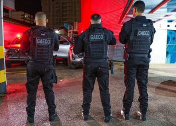 MPRO, Polícia Civil, FTICCO e FICCO deflagram “Operação Rescaldo”