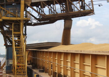 Rondônia alcança marco expressivo na geração de empregos e se destaca em desempenho na Região Norte