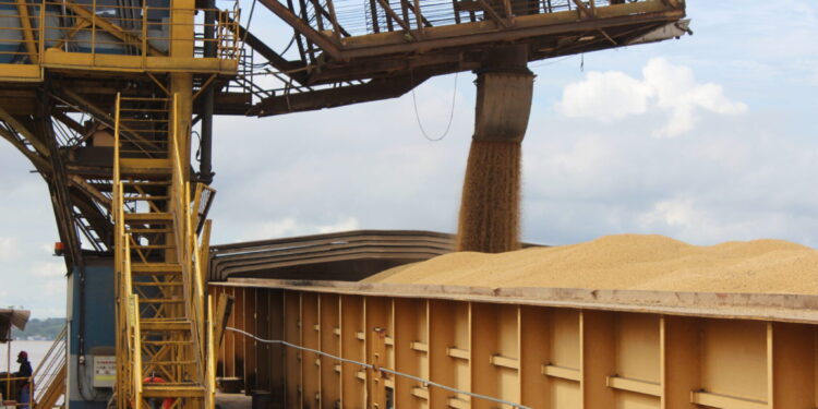 Rondônia alcança marco expressivo na geração de empregos e se destaca em desempenho na Região Norte