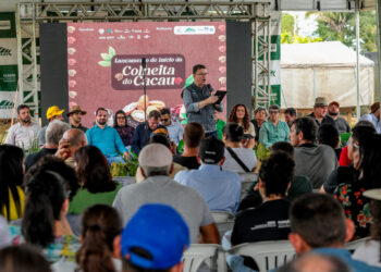 Governo de RO realiza abertura oficial da colheita do cacau em Buritis e destaca avanços da produção no estado
