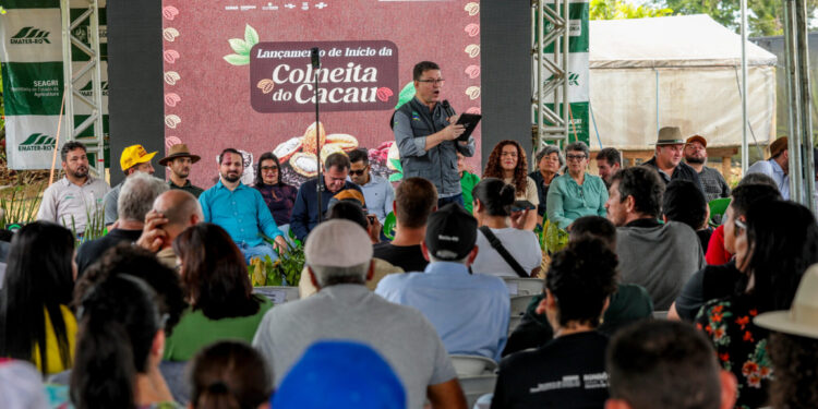 Governo de RO realiza abertura oficial da colheita do cacau em Buritis e destaca avanços da produção no estado