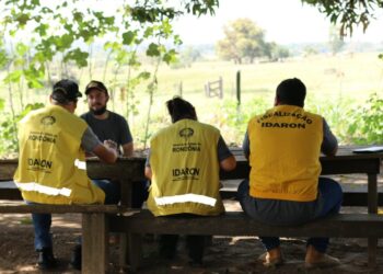 Em três anos Idaron orienta cerca de 20 mil pessoas na vigilância contra a febre aftosa