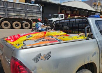 Sema entrega mais uma tonelada de ração para cães e gatos doados por voluntários e arrecadados pelo Conselho Regional de Veterinária