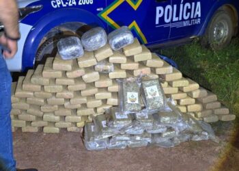 POLÍCIA MILITAR APREENDE MAIS DE 125 QUILOS DE MACONHA EM OPERAÇÃO NA ZONA RURAL DE GUAJARÁ-MIRIM