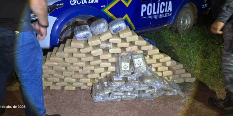 POLÍCIA MILITAR APREENDE MAIS DE 125 QUILOS DE MACONHA EM OPERAÇÃO NA ZONA RURAL DE GUAJARÁ-MIRIM