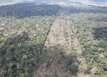 Operação Hileia 2025 – 2ª Fase: Ação Integrada Reforça o Combate aos Crimes Ambientais em Rondônia