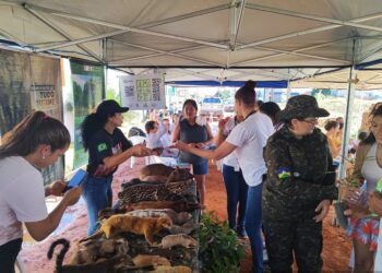 Evento “Páscoa Entre amigos” mobiliza parceiros e promove cidadania e educação ambiental em Vilhena
