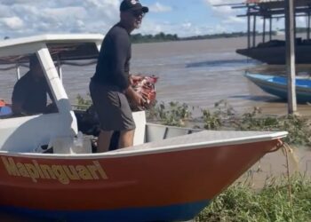 Distritos ribeirinhos atingidos pela cheia recebem uma tonelada de ração para cães e gatos