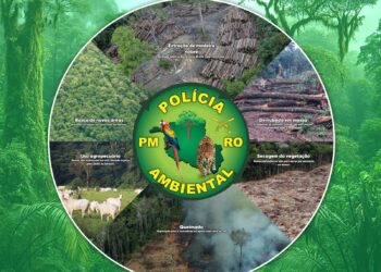 Governo do Estado apresenta resultados da ação policial na área do Parque Estadual de Guajará-Mirim