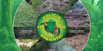 Governo do Estado apresenta resultados da ação policial na área do Parque Estadual de Guajará-Mirim
