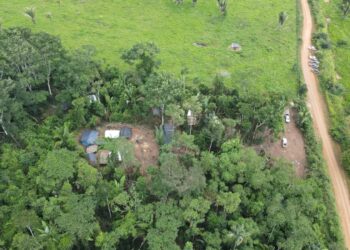 Etapas são realizadas com sucesso contra invasões no Parque Estadual de Guajará-Mirim