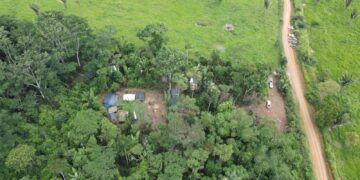 Etapas são realizadas com sucesso contra invasões no Parque Estadual de Guajará-Mirim