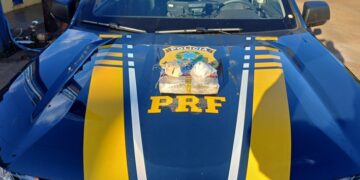 PRF, em ação conjunta com a Receita Federal, apreende drogas em Porto Velho