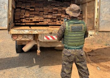 Polícia Ambiental apreende mais de 8m³ de madeira ilegal em Jaru