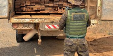 Polícia Ambiental apreende mais de 8m³ de madeira ilegal em Jaru