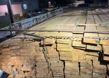 10º BPM – Polícia Militar em Migrantinópolis e BPA apreende madeira irregular