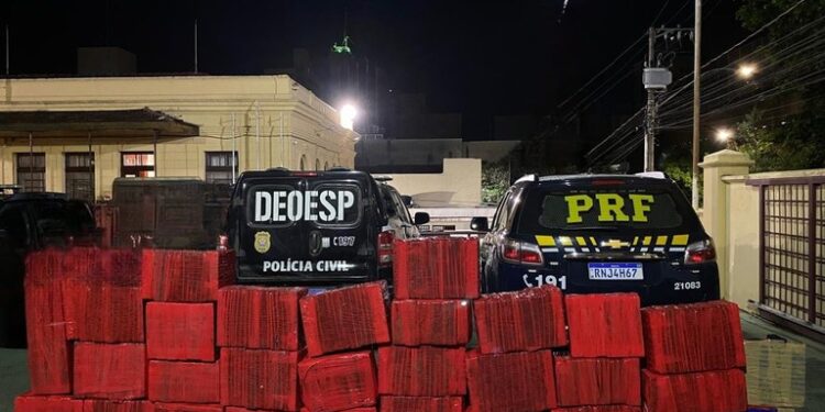 PRF e PCMG apreendem quase 1 tonelada de Maconha durante ação conjunta em Formiga (MG)