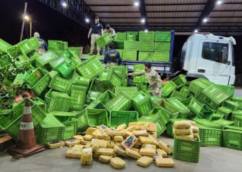 PRF apreende mais de 100 kg de skunk (supermaconha) escondidos em caminhão na BR-364, em Jataí