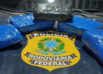 PRF apreende droga em ônibus de viagem interestadual
