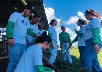Ensino técnico prepara jovens para carreiras no agronegócio