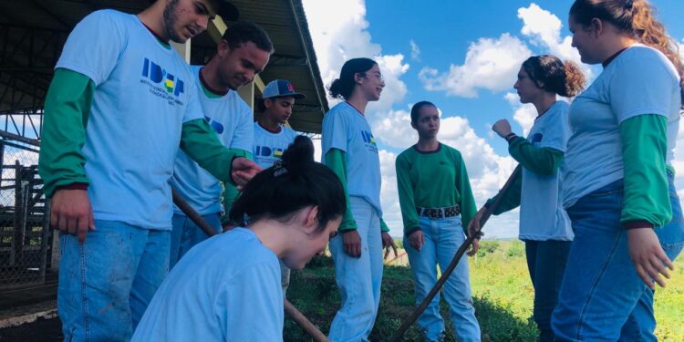 Ensino técnico prepara jovens para carreiras no agronegócio