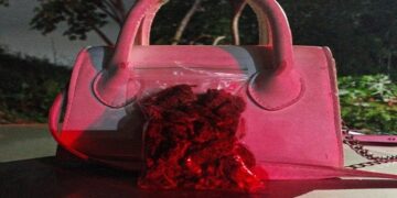 Polícia Ambiental apreende substância entorpecente durante patrulhamento noturno em Porto Velho