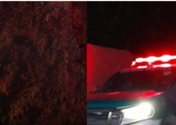 Jovem é sequestrado e morto a tiros em terreno baldio no Tarumã