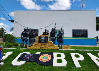 PF, PM/RO e Exército Brasileiro prendem casal com grande quantidade de drogas em ação conjunta na BR-429