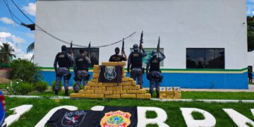 PF, PM/RO e Exército Brasileiro prendem casal com grande quantidade de drogas em ação conjunta na BR-429