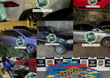 DENARC: Prejuízo de milhões para o tráfico – VEJA O VÍDEO