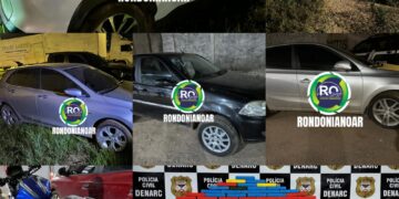 DENARC: Prejuízo de milhões para o tráfico – VEJA O VÍDEO