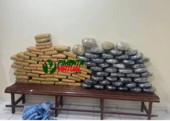 Polícia militar apreende mais 100 quilos de droga em Primavera de Rondônia e suspeitos fogem para a mata