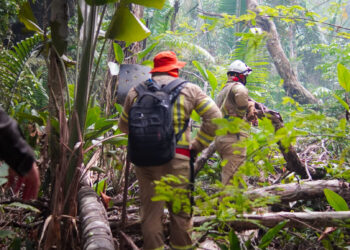 MUDANÇAS CLIMÁTICAS: Rondônia se prepara para enfrentamento da estiagem de 2025