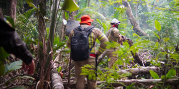 MUDANÇAS CLIMÁTICAS: Rondônia se prepara para enfrentamento da estiagem de 2025