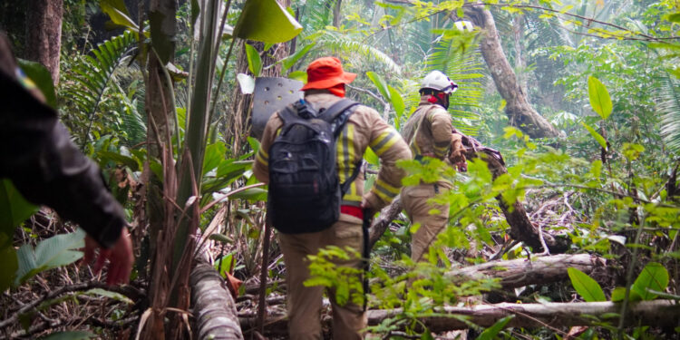 MUDANÇAS CLIMÁTICAS: Rondônia se prepara para enfrentamento da estiagem de 2025