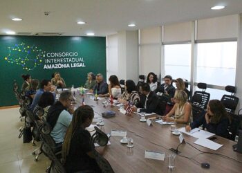 Rondônia participa de encontro da Câmara Setorial de Planejamento e Gestão Estratégica do Consórcio Amazônia Legal, em Brasília
