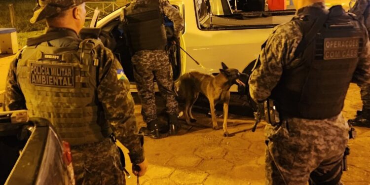 Megaoperação integrada em Espigão Do Oeste resulta em apreensões, multas e condução de infratores