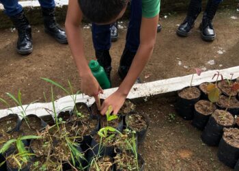 Polícia Ambiental Mirim participa de treinamento prático no viveiro do BPA
