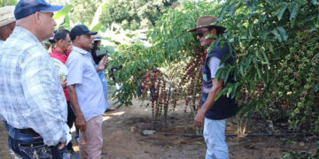 Experiência inovadora é preparada para os visitantes da 12ª Rondônia Rural Show Internacional