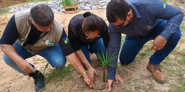 Governo de RO atualiza plano de carreira da Sedam para valorizar servidores e garantir avanços na política ambiental