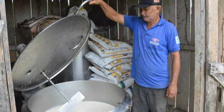 Lei impulsiona desenvolvimento da agricultura e fortalece segmentos do leite e do café em Rondônia
