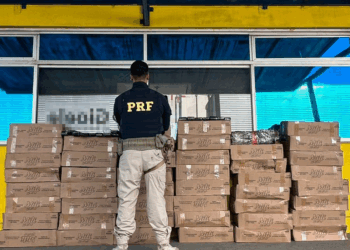 PRF apreende 780 kg de maconha em meio a mercadorias diversas