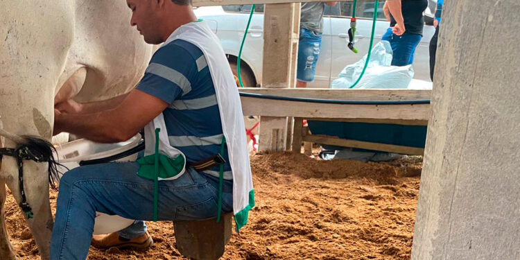 Concurso Leiteiro valoriza produtores rurais e impulsiona pecuária em Cabixi