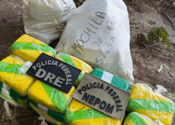 PF apreende 100kg de drogas em pista clandestina no Amazonas