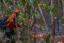 Prevenção e combate a incêndios florestais são foco do I Encontro “Rondônia Contra os Incêndios”