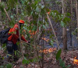 Prevenção e combate a incêndios florestais são foco do I Encontro “Rondônia Contra os Incêndios”
