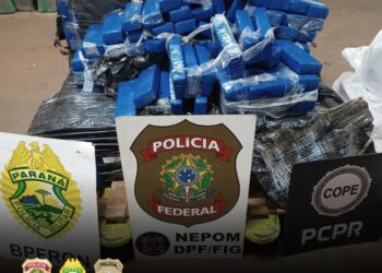 PF, PM e Polícia Civil apreendem 300kg de maconha em ação conjunta em Foz do Iguaçu