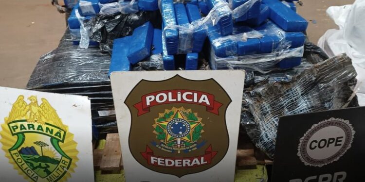 PF, PM e Polícia Civil apreendem 300kg de maconha em ação conjunta em Foz do Iguaçu