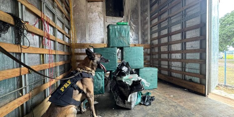 PRF intercepta caminhão com fundo falso com carga quase 270 kg de droga na BR-364